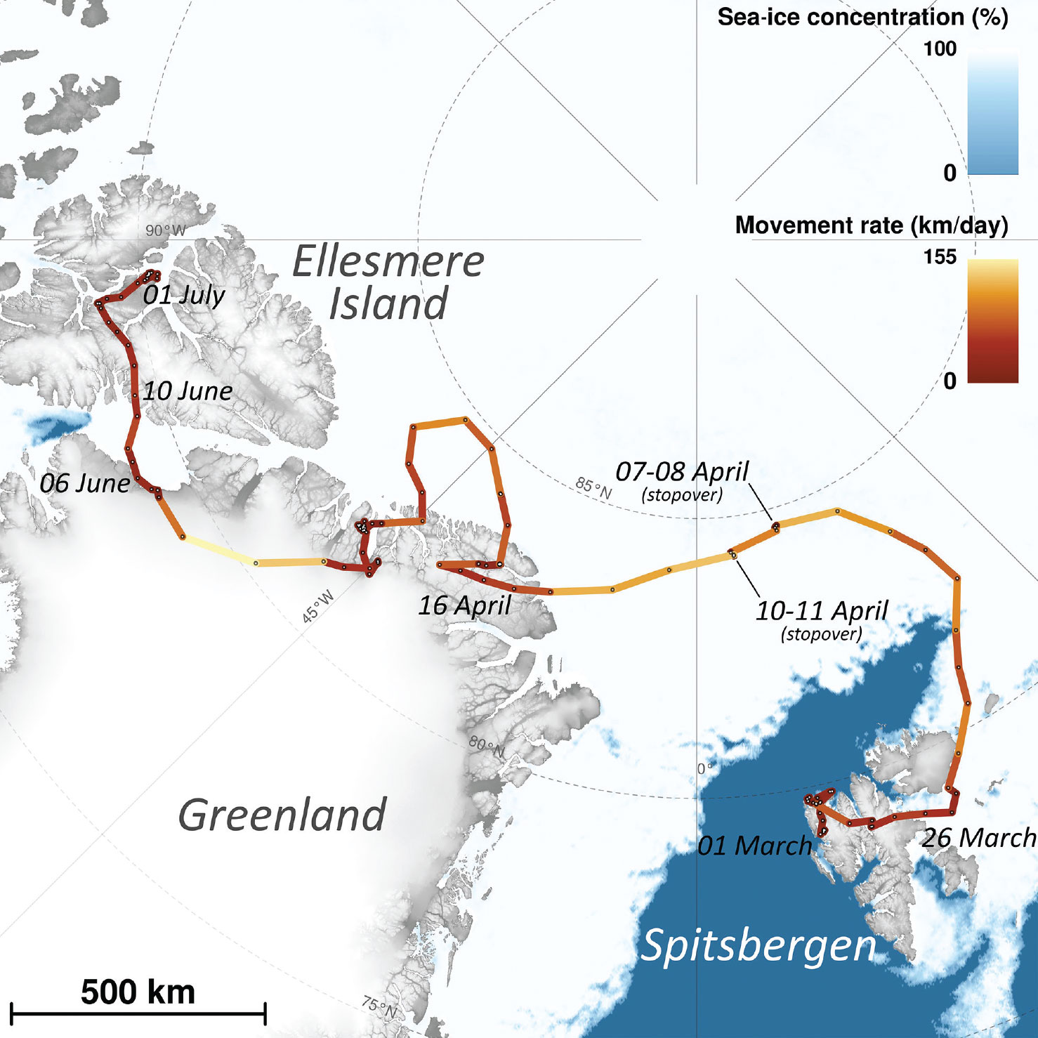 Carte migration d'une renarde