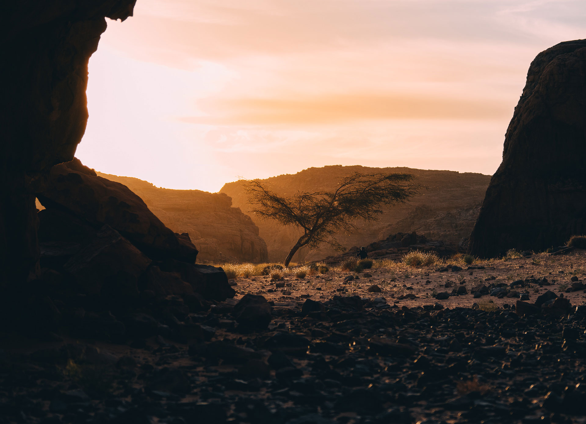 Landschaft von Tassili n'Ajjer