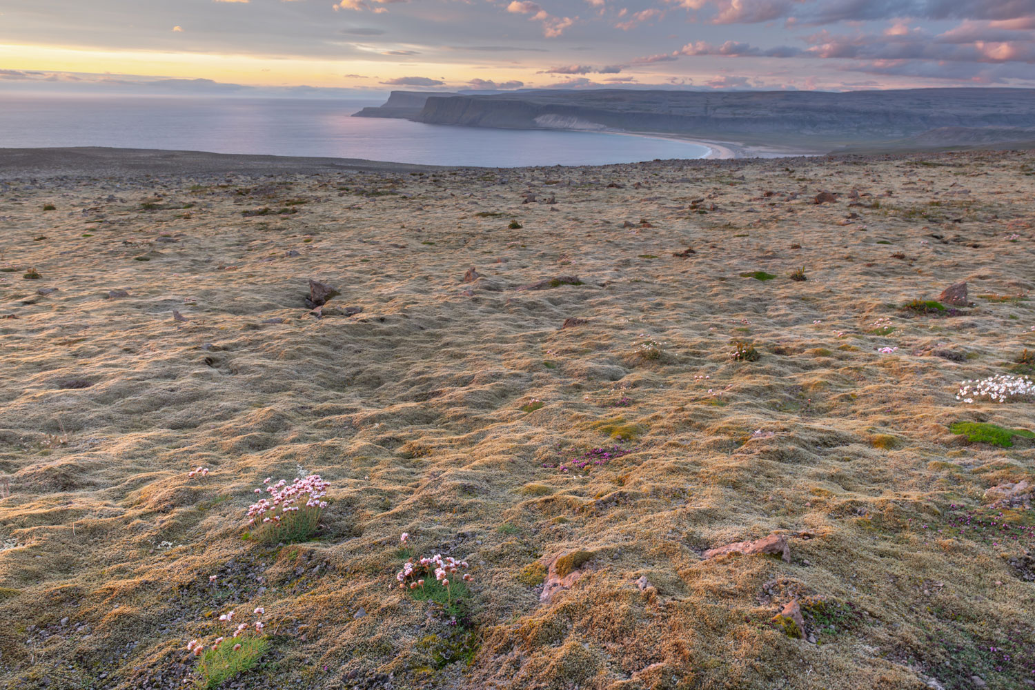 Stunning landscape of Westfjords of Iceland