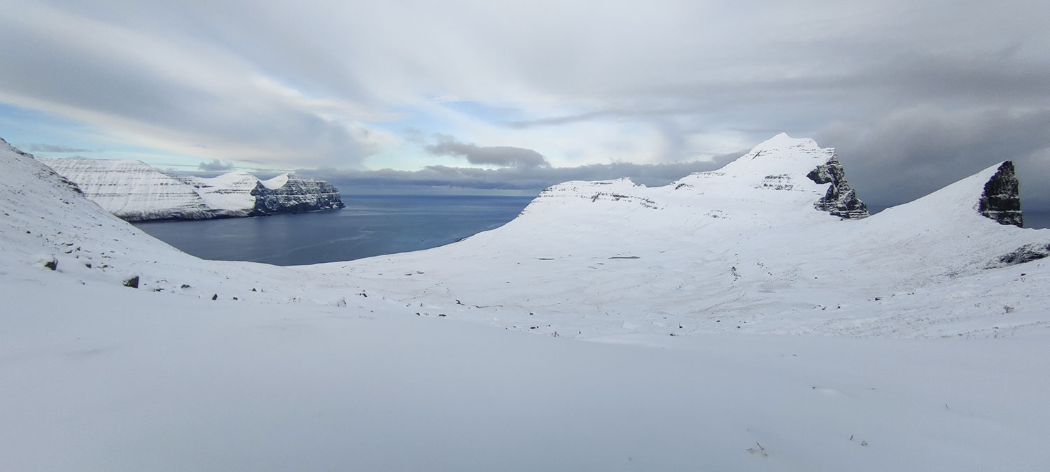 Arctic fox winter photo tour in Hornstrandir