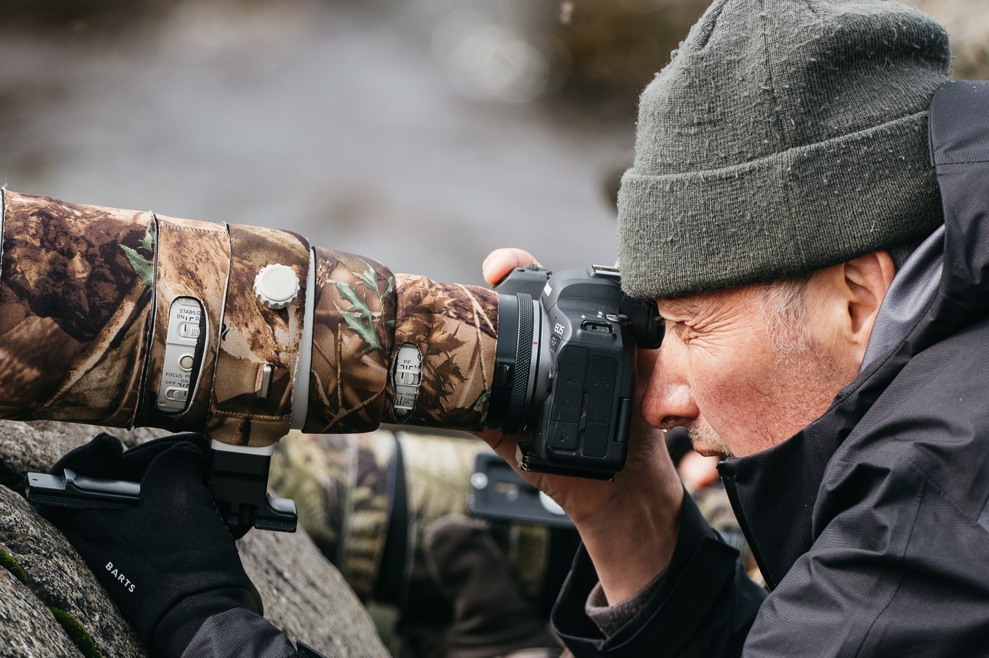 Photographe animalier en Islande