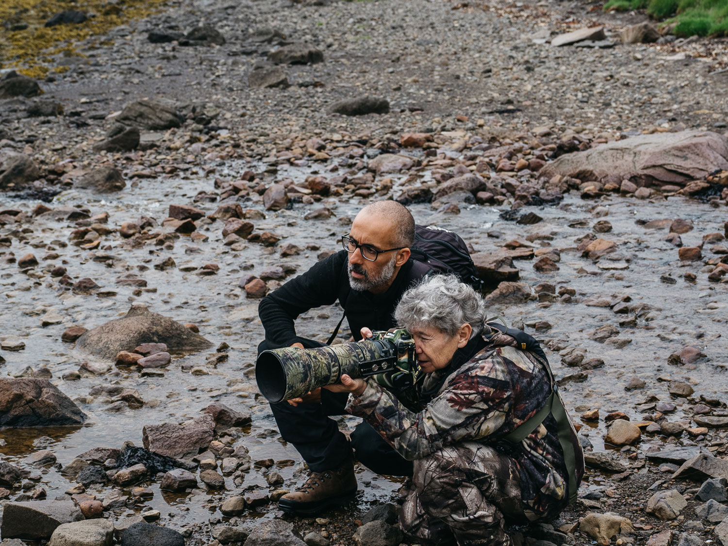 Wildlife and landscape photography tours