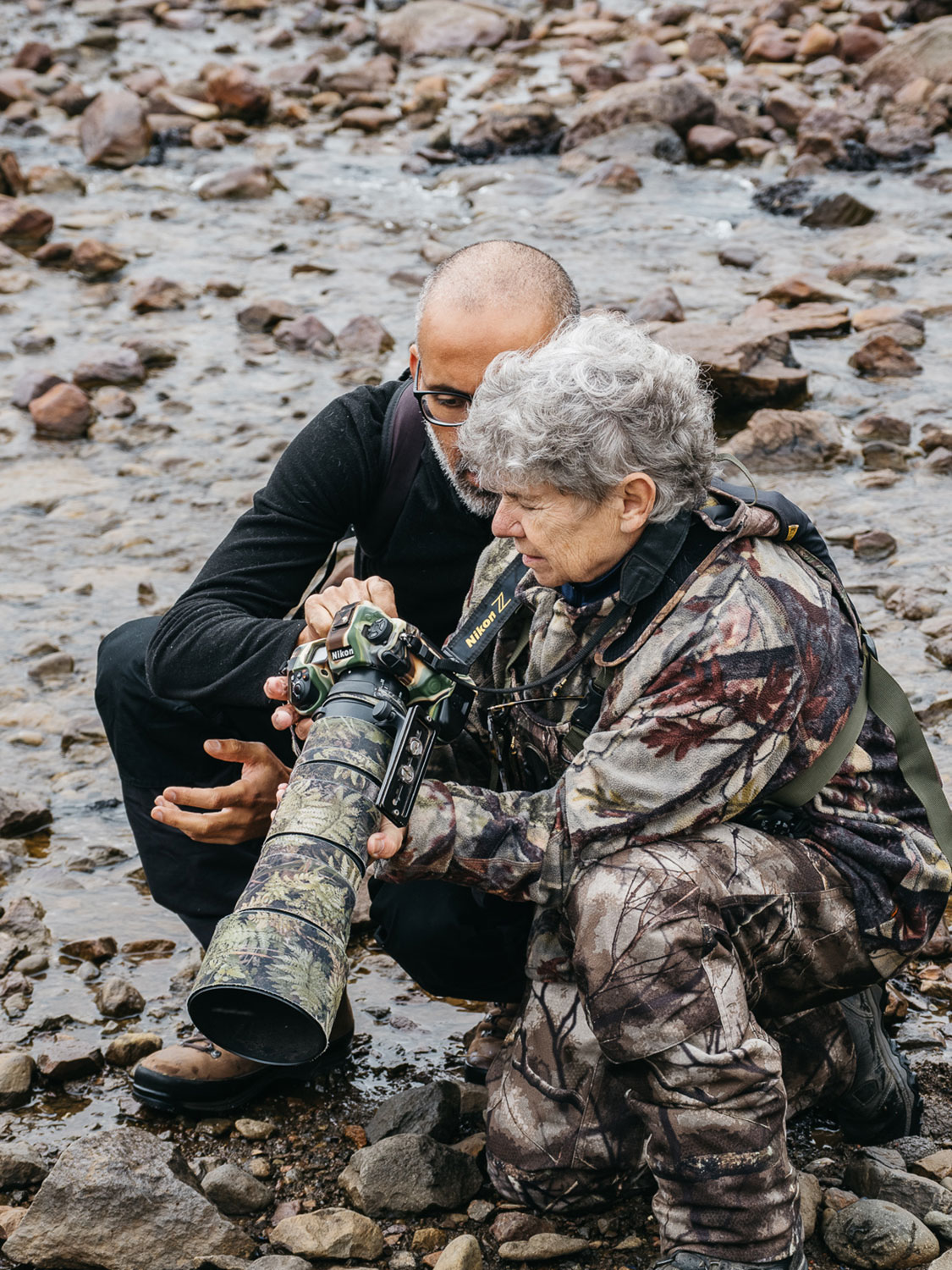 Wildlife photography tour in Iceland