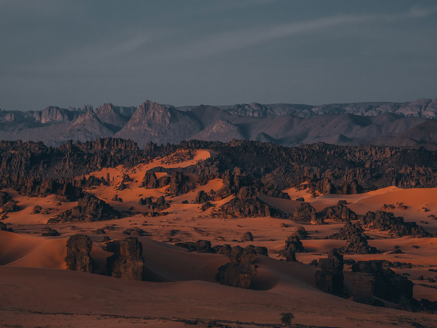 Landscape of the Tassili n'Ajjer in Algeria