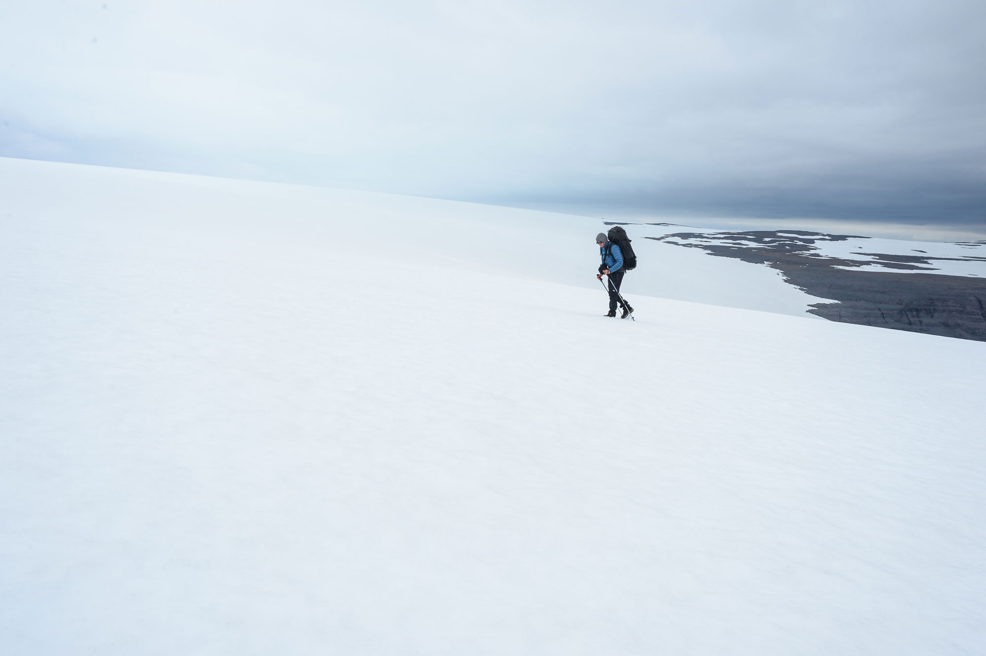 Devenir photographe animalier : l'expérience du terrain !