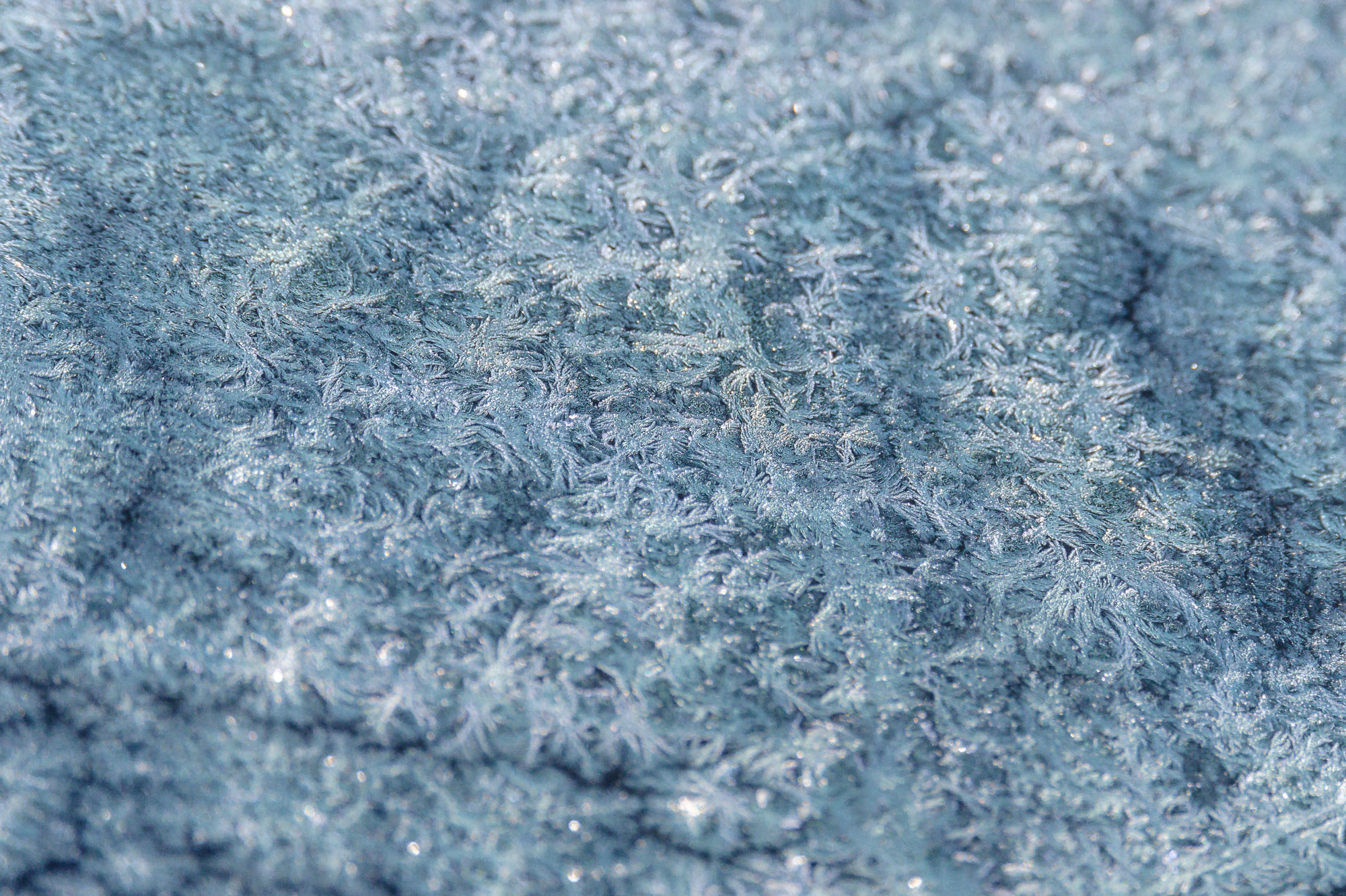 Macrophotographie de givre