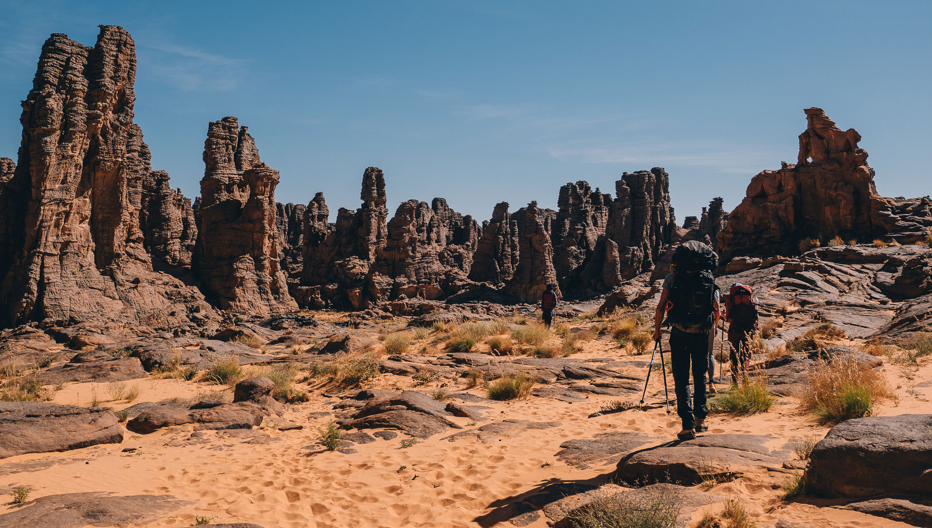 Apprendre la randonnée pour devenir photographe animalier