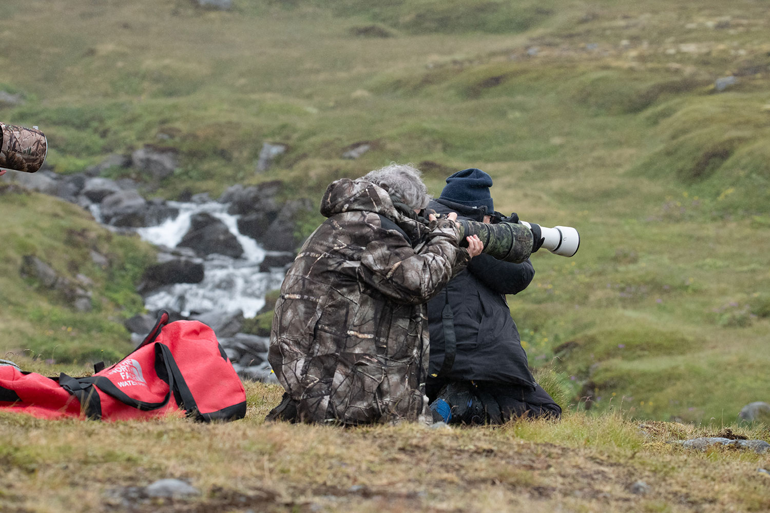 The best camera for wildlife photography