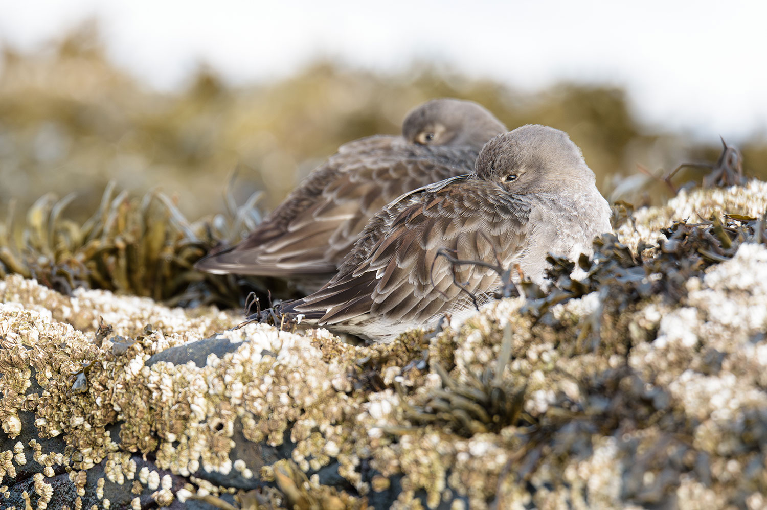 Communauté de passionnés de nature