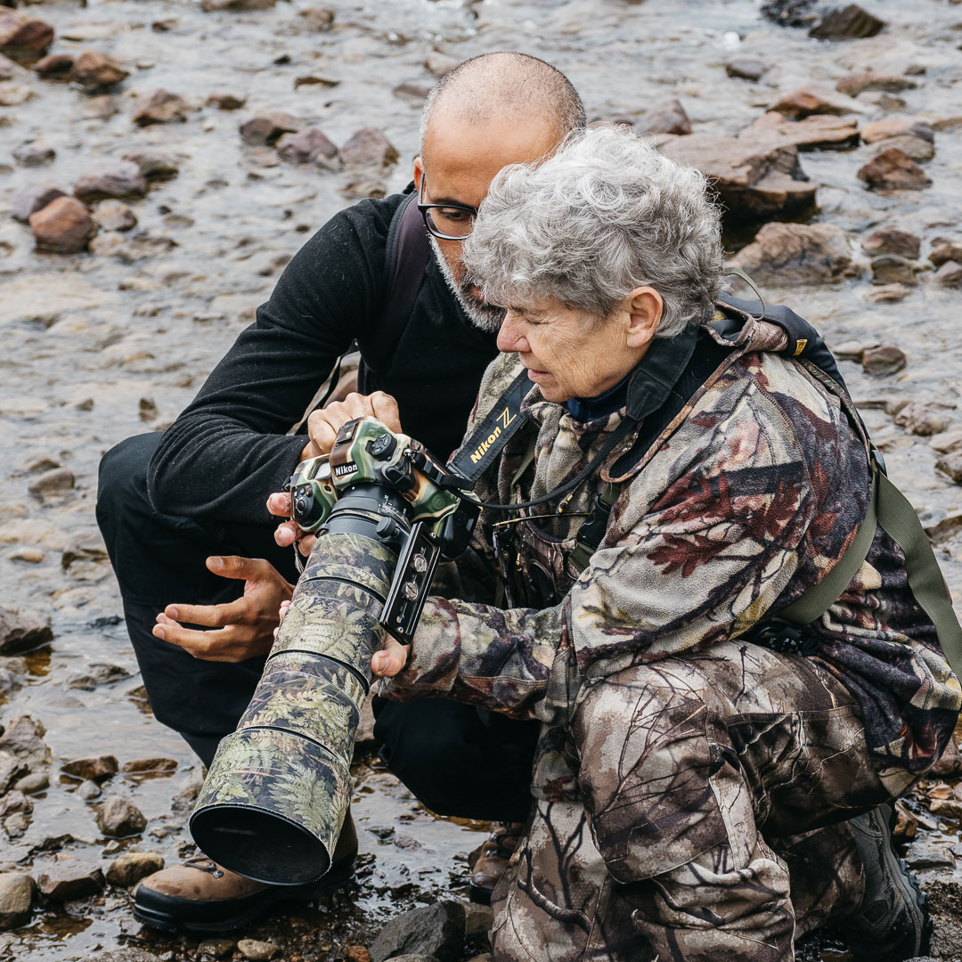 Professional landscape photography guide