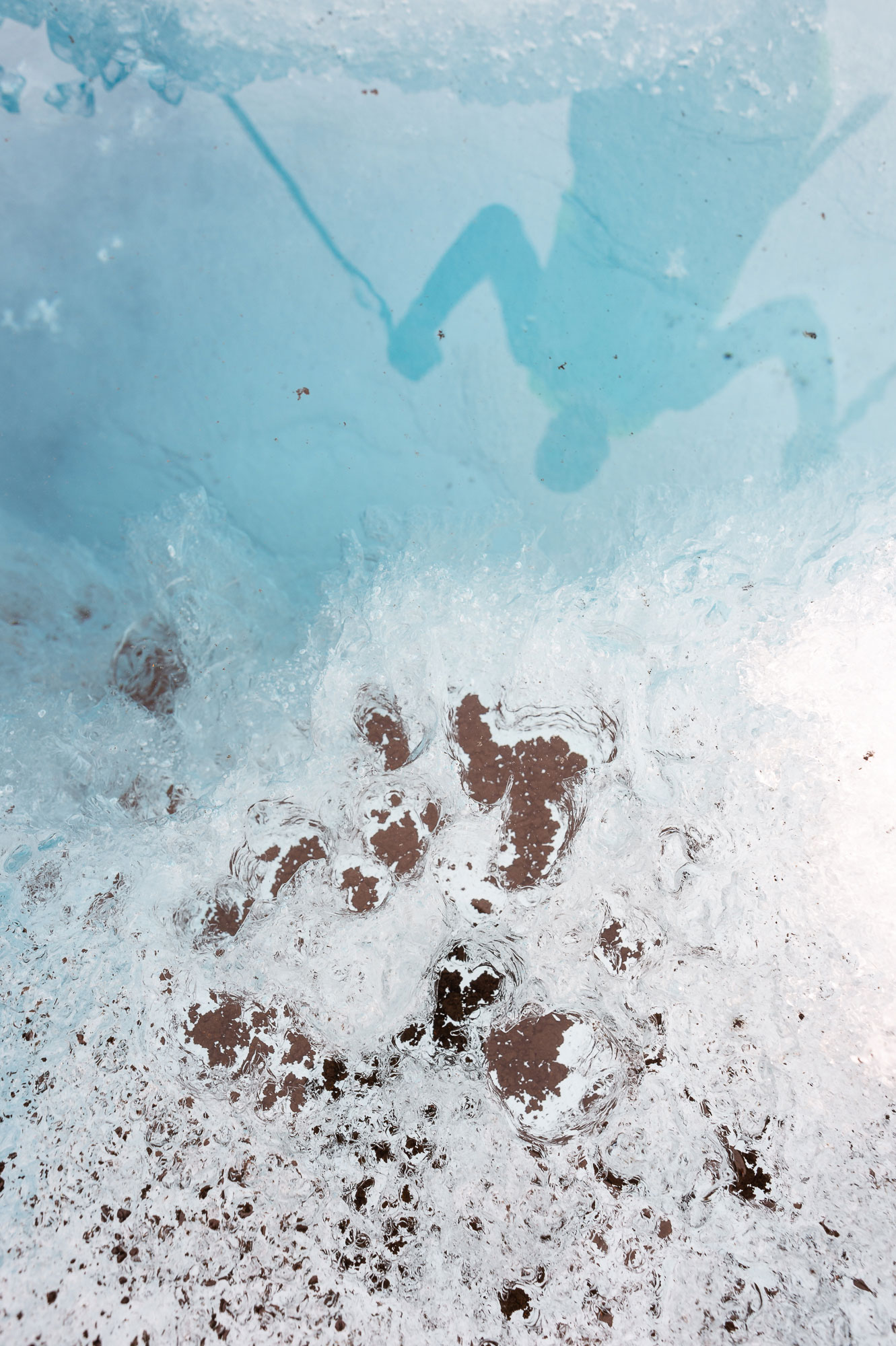 Drangajökull glacier